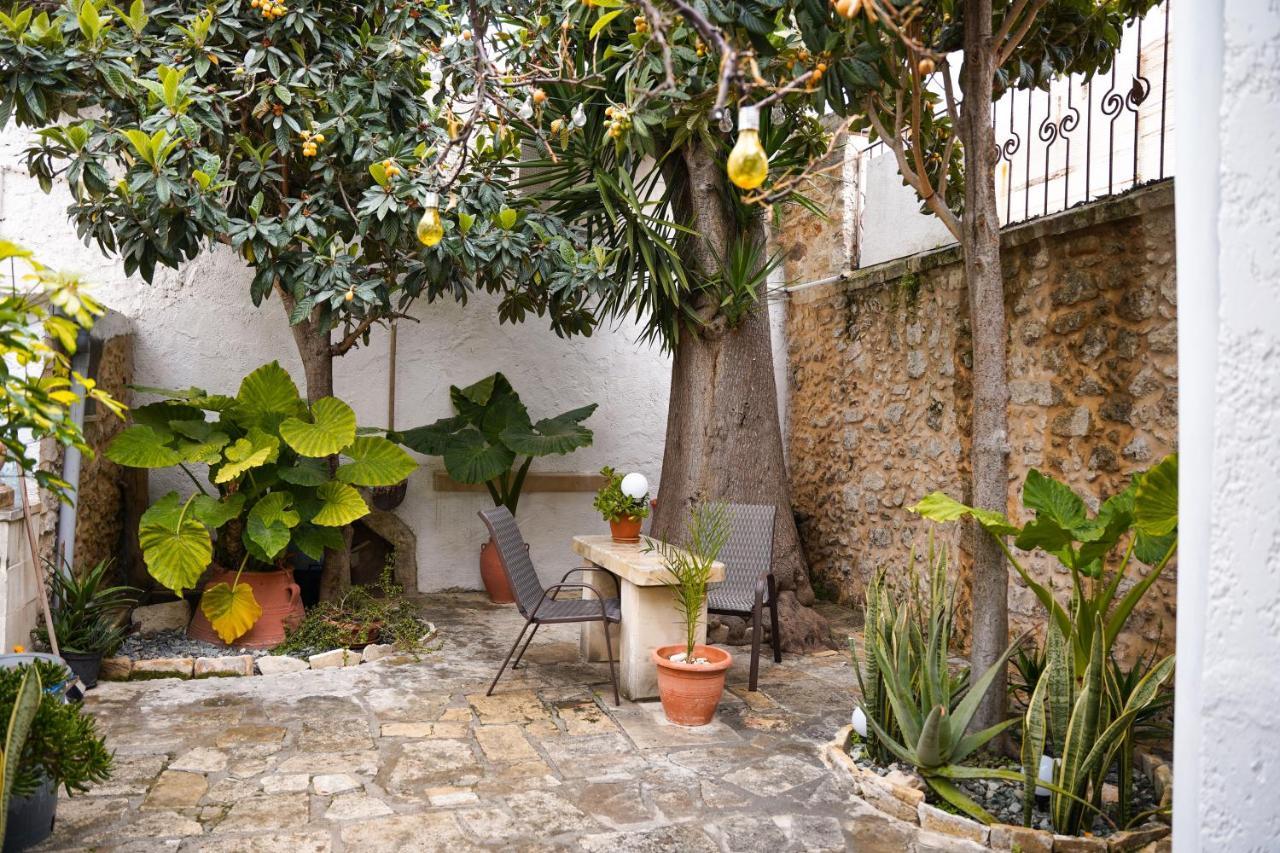 Dome Garden