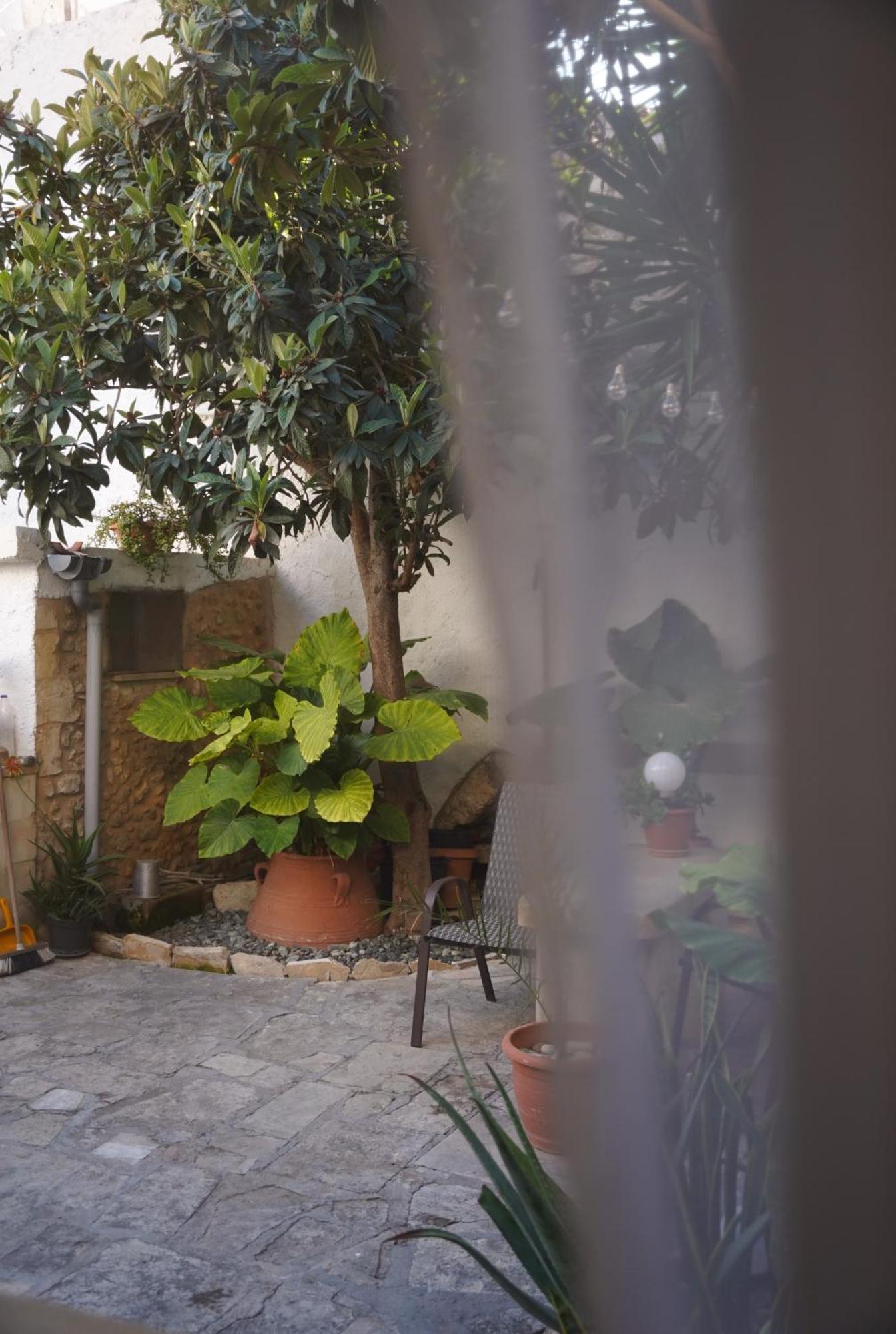 Dome Garden Appartement